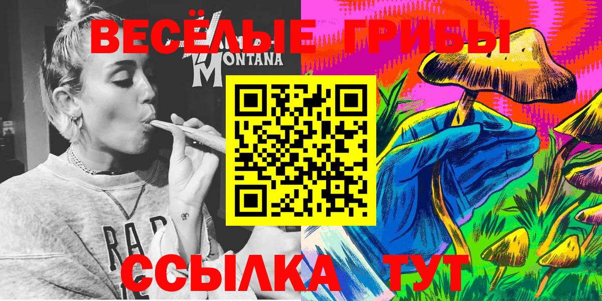 Псилоцибиновые грибы прущие грибы  Вход с VPN  Псилоцибиновые грибы Cubensis  Нижнеудинск 