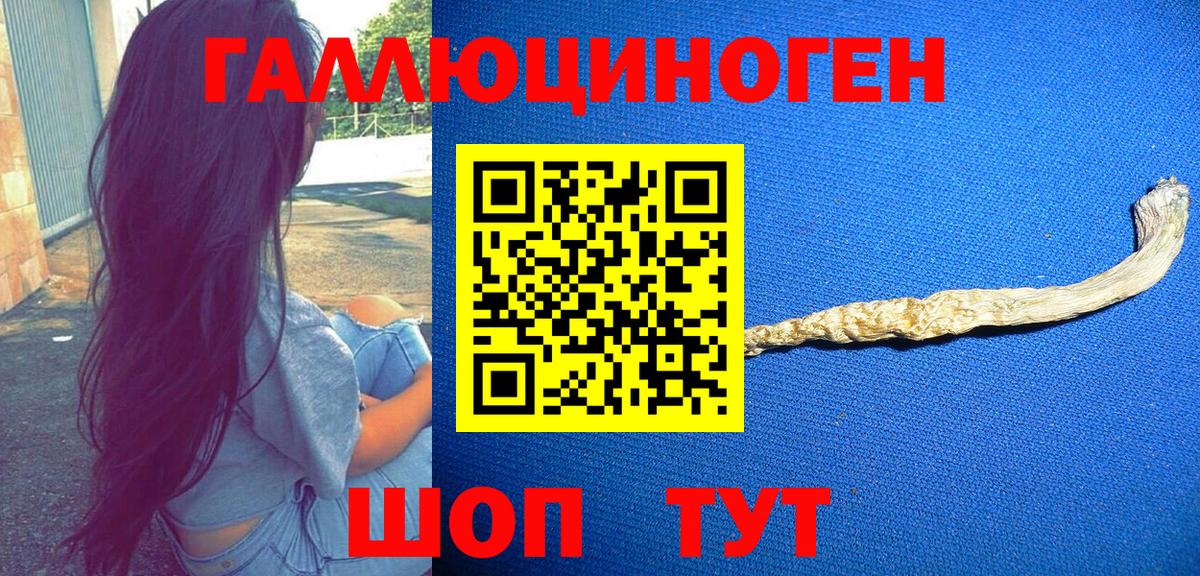 Галлюциногенные грибы мицелий Нижнеудинск